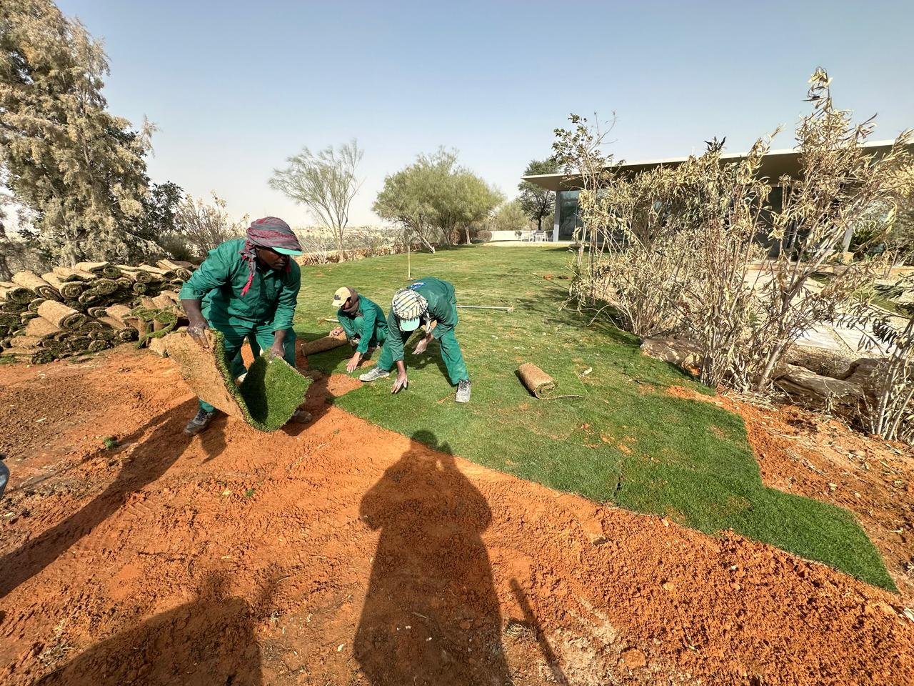 Technical Garden and Green Lands Maintenance Services