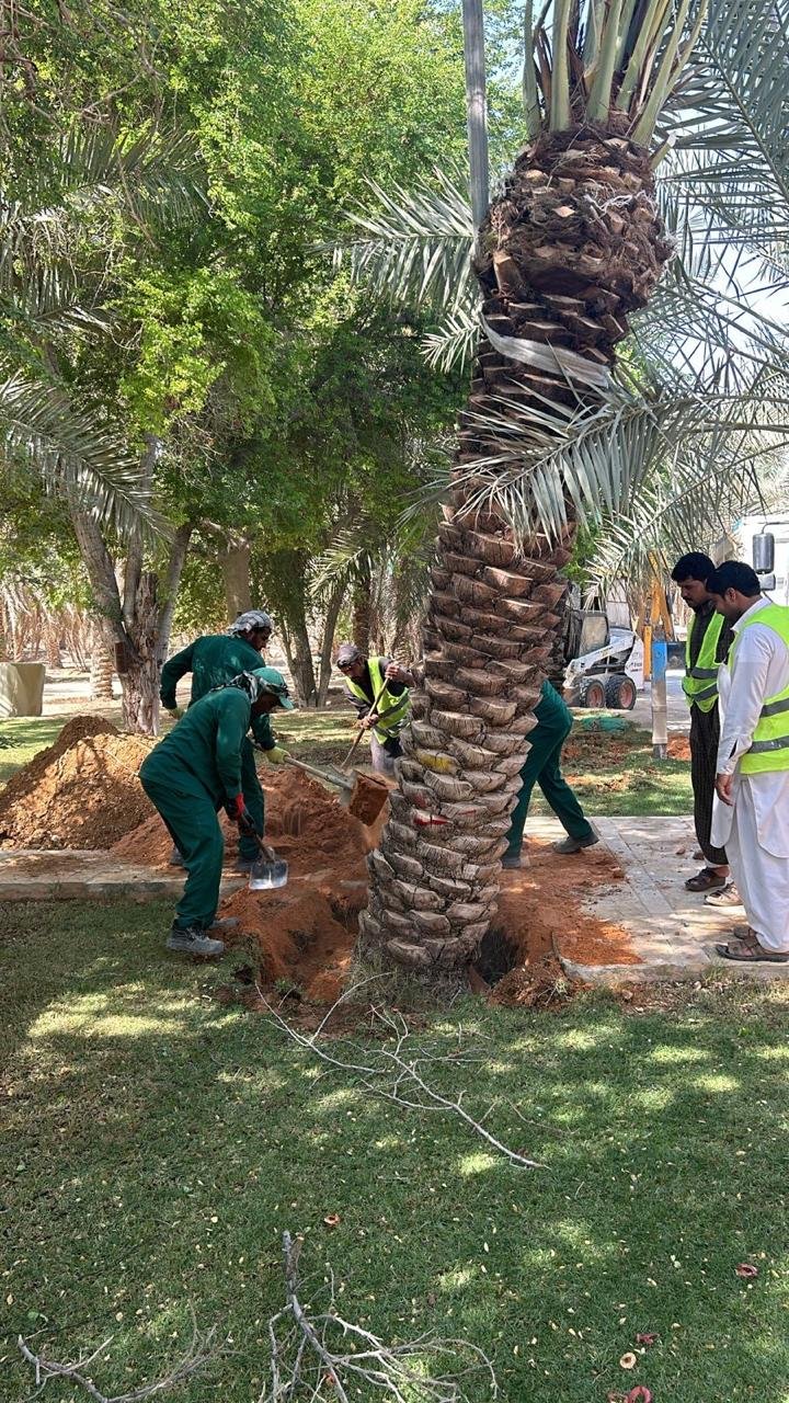 Comprehensive Technical Gardens Maintenance and Arid Agronomy