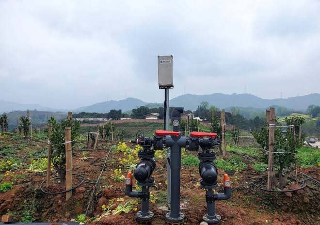 Micro-Irrigation Network Installation and Water Management